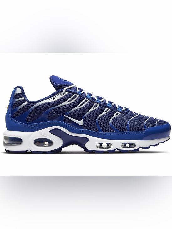 Nike Other - Nike Air Max Plus TN Arctic Chill Men’s Size 8 Royal Blue White
